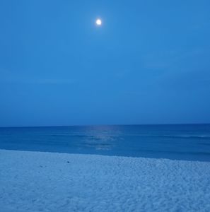 Meet your Posher, Ron